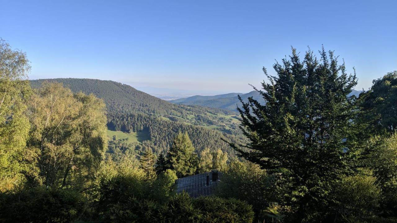 Apigite68, Proche Route Des Vins, Vosges, Colmar Et Non Loin D'Europa-Park! Ostheim Exterior foto